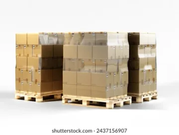 Распределение Паллеты в Brussel BE